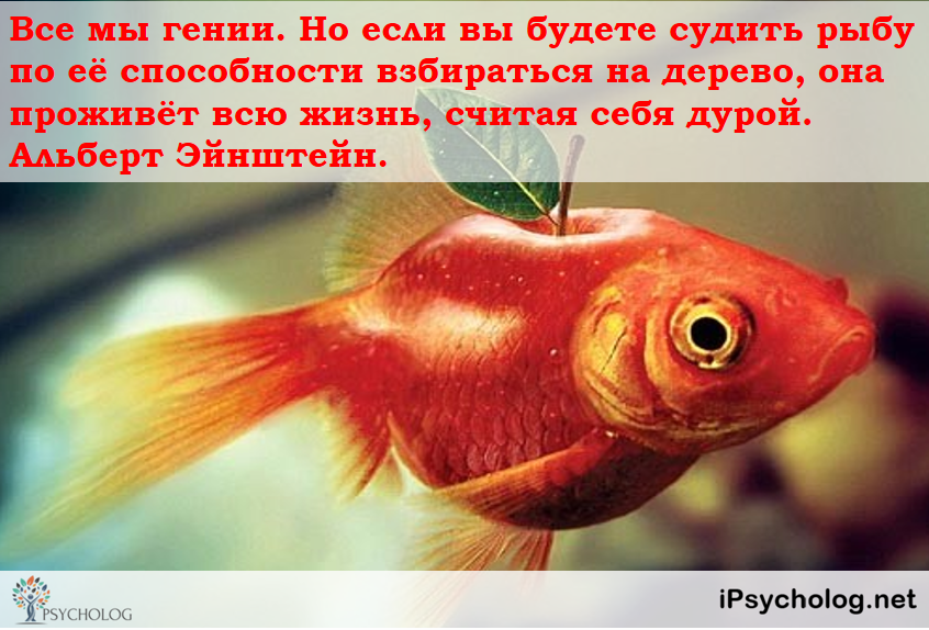 iPsycholog - Ваш психолог онлайн.