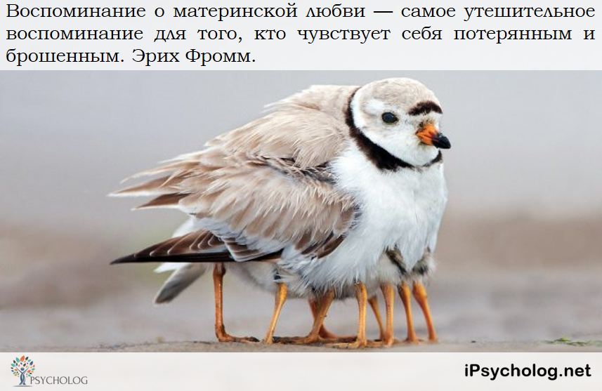 iPsycholog - Ваш психолог онлайн.