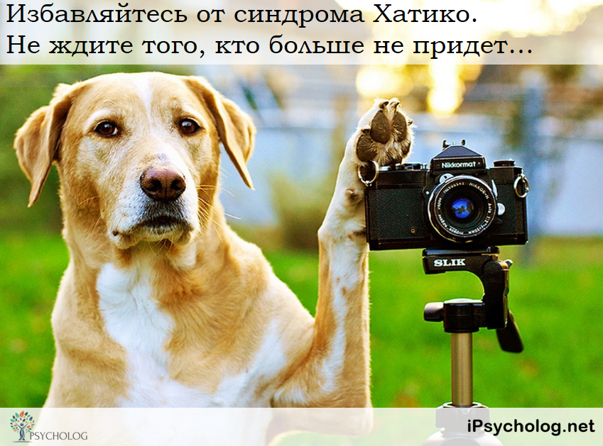 iPsycholog - Ваш психолог онлайн.