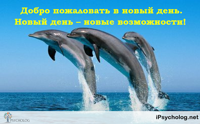 iPsycholog - Ваш психолог онлайн.
