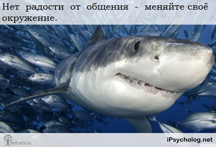 iPsycholog - Ваш психолог онлайн.