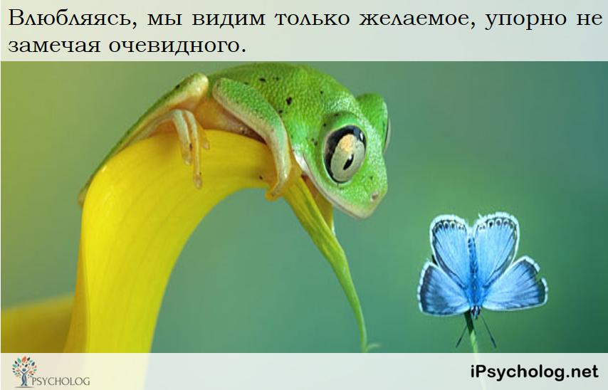 iPsycholog - Ваш психолог онлайн.