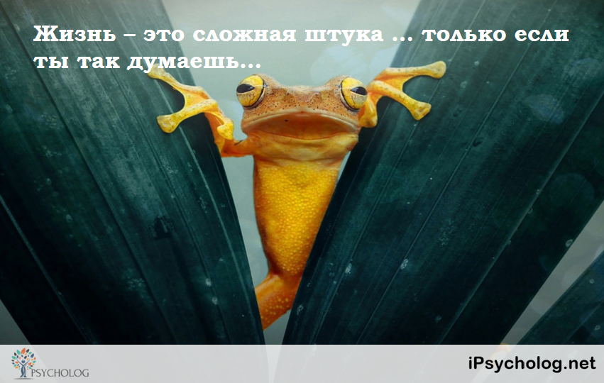 iPsycholog - Ваш психолог онлайн.