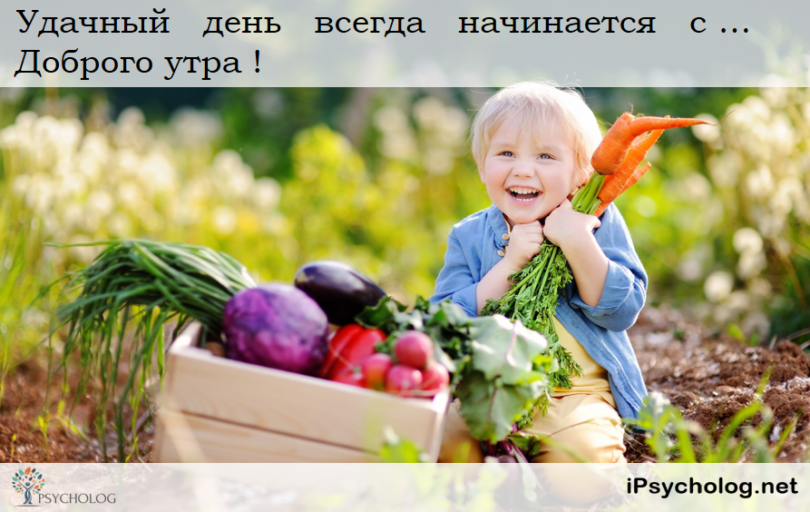 iPsycholog - Ваш психолог онлайн.