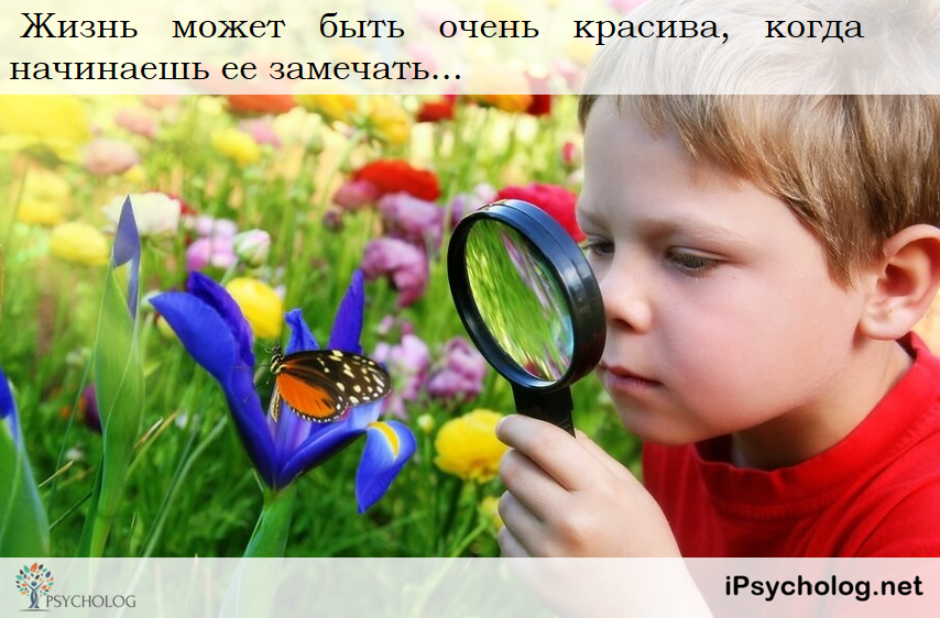 iPsycholog - Ваш психолог онлайн.